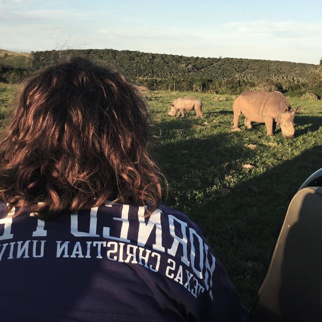 一名TCU学生在南非观察一个白犀牛家庭